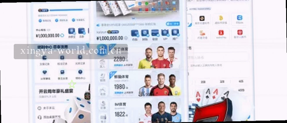隐私政策与用户权益说明